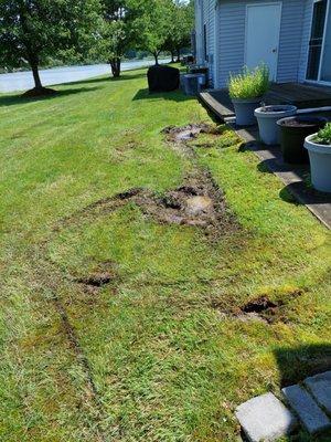 New Hampton Lawn Care