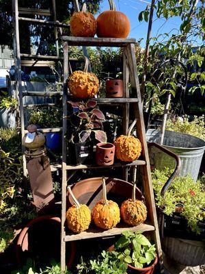 The Antique Gardener