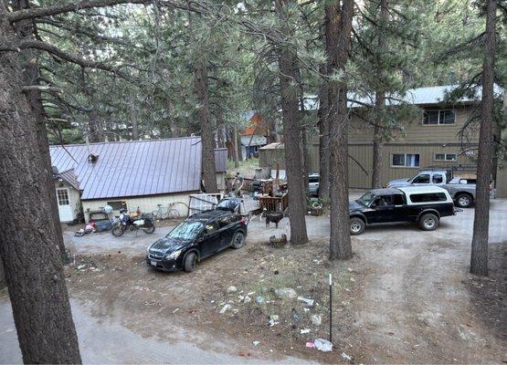 Trash on the ground outside our window, but it's all around the building and down the street.