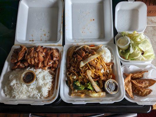 Tokyo Teriyaki & Wok