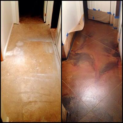 Chriscrete Creations