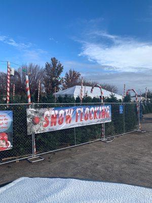 Beck’s Holiday Specialties