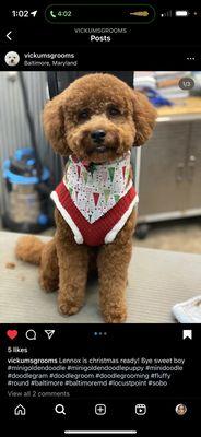 Dale’s Pet Grooming