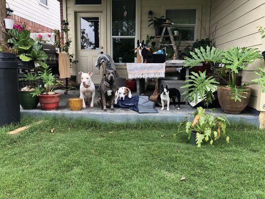 Vanguard Veterinary Clinic