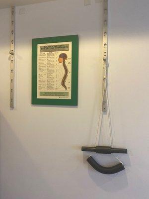 The LA Chiropractor: