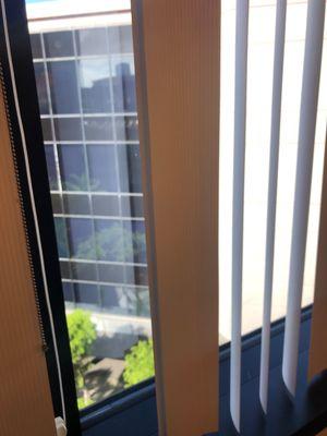 U.S. Citizenship & Immigration Services