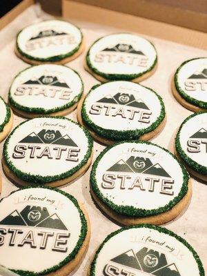 Colorado State University