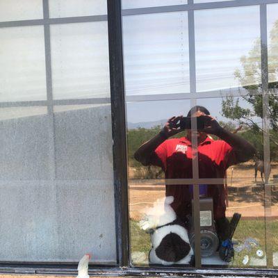 Fish Window Cleaning