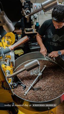 Specialty Coffee Roaster