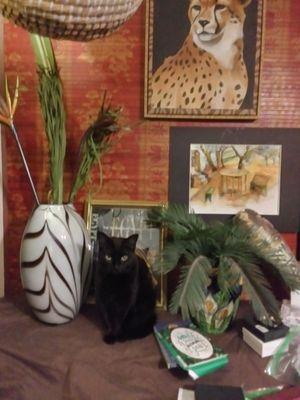 Delaware County Humane Society