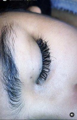Luxurious lashes