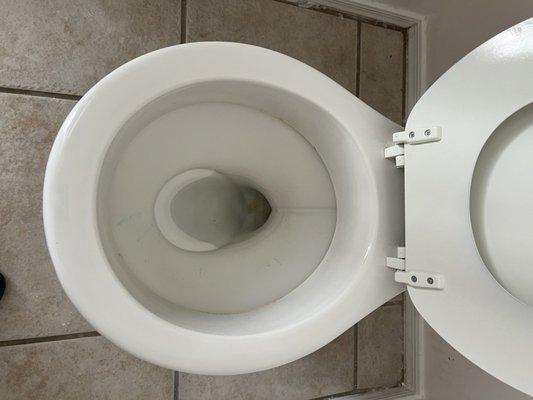 Shipshape Cleaning Services