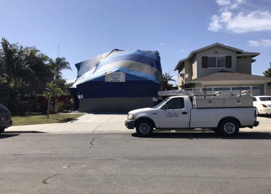 Castro Termite & Pest Control