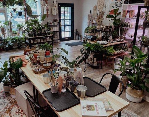 Tropical plants. Local artisans' decor