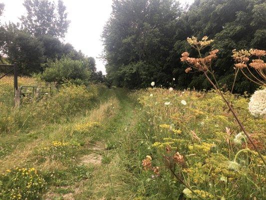 Linn County Home Cemetery