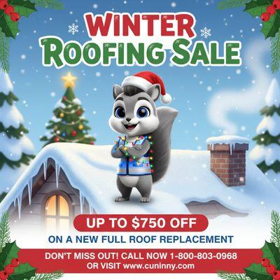 Winter Roofing Sale!
Don't miss this offer.
