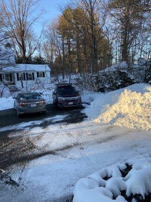 Fasolino Landscape Design & Construction