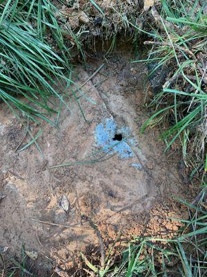 Damaged septic tank cover with 1 inch hole