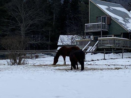 Blueberry Lake Cross Country & Snowshoeing Center