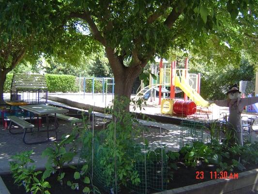 Peace Lutheran Ministries