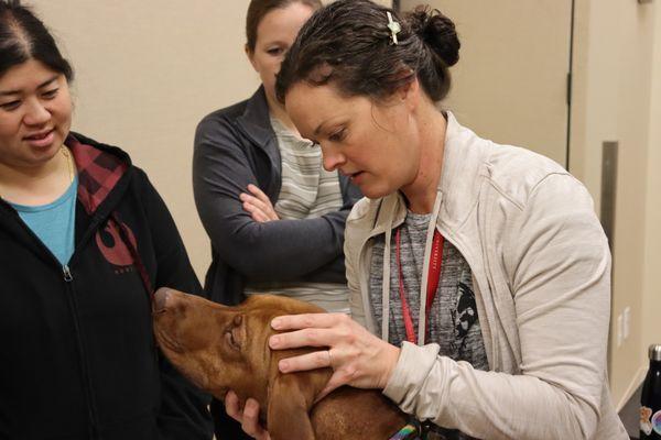 Hill Creek Veterinary Hospital