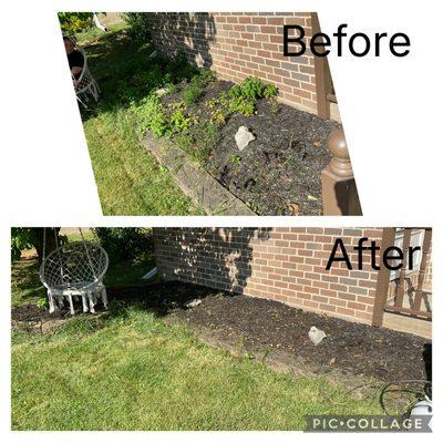 "Before and after: Clean, weed-free, and refreshed. Rise & Roots Lawn Care brings back the beauty in every yard -- one detail at a time."