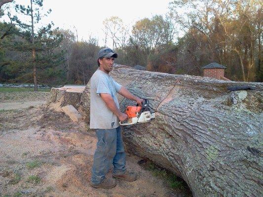 Top Notch Tree and Lawn Service