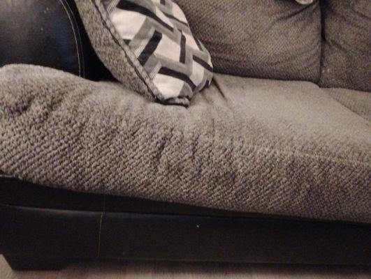 Top Dawg Painting & Cleaning Services