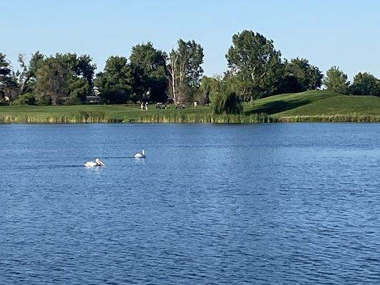 The Sand Bar at Pelican Lakes