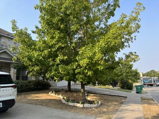 Luxury Fence & Landscape