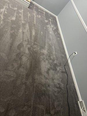 The right side is where my couch sits... the left is where my dog lays.... This is AFTER they "cleaned" the carpets and I vacuumed