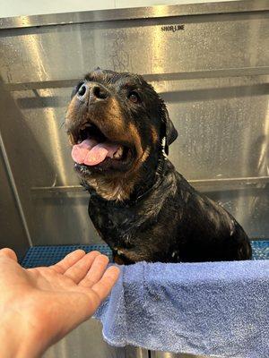 Wag N' Wash Natural Pet Food & Grooming