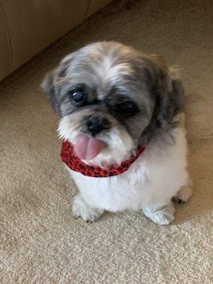 Lancaster Pet Clinic