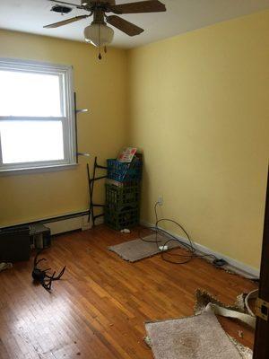 Rocket Dog Cleaning & Building Services