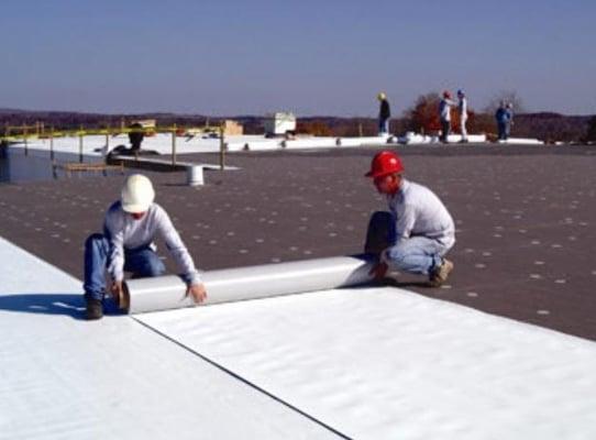 Motor City Roofing and Paving