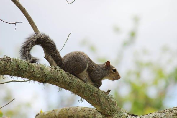 Indian Point RV Resort