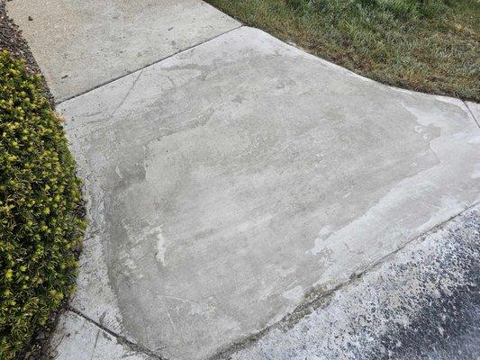 Machos Landscape Design & Construction