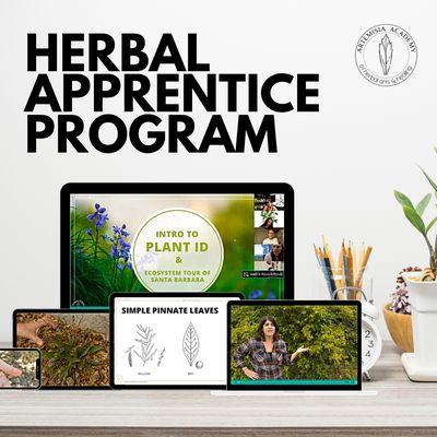 This 150-hour hybrid program gives you everything you need to start your herbal journey:
Learn to make teas, tinctures, salves & more