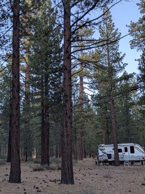 Old Shady Rest Camground