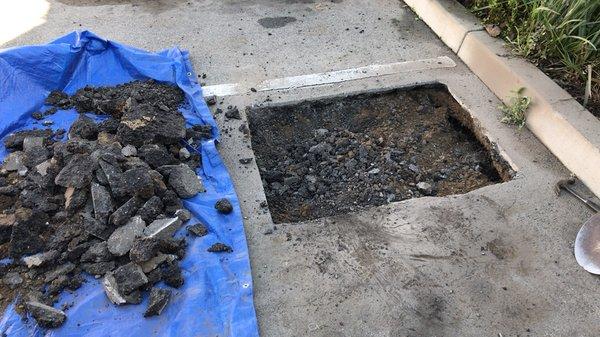 Blue Glacier Corporation