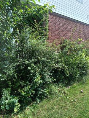 One Stop Property Care