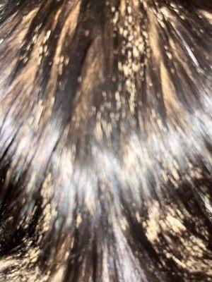 Baron's Appliance Services LLC