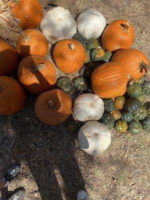 Winding Branch Ranch