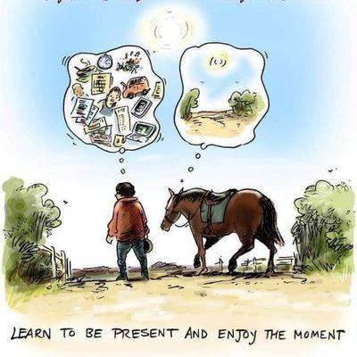 Humans helping Horses helping Humans