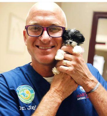 Sun-Surf Animal Hospital