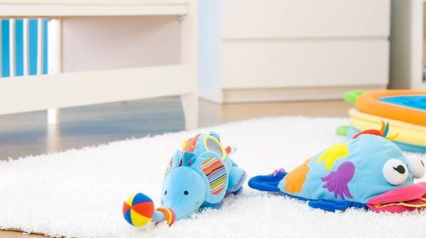 RSI Premier Cleaning & Restoration Services