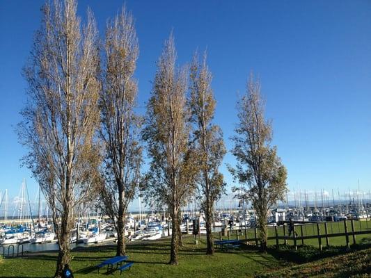 Sierra Point Yacht Club