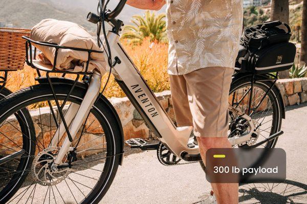 EBike Connections Loudoun County, Leesburg, VA Electric Bike Rentals with over 300 lb payload.