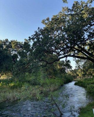 Sherwood Forest Golf Club