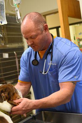 Moseley Veterinary Clinic